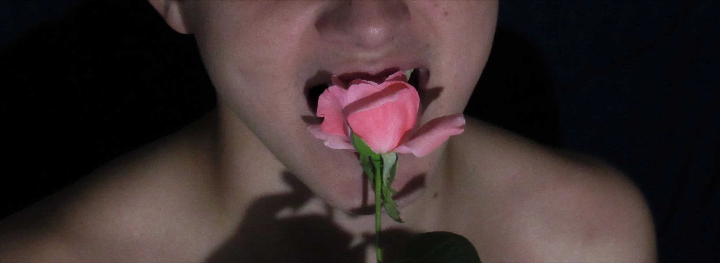 "Wild &amp; Rose" by Shi Yang Su