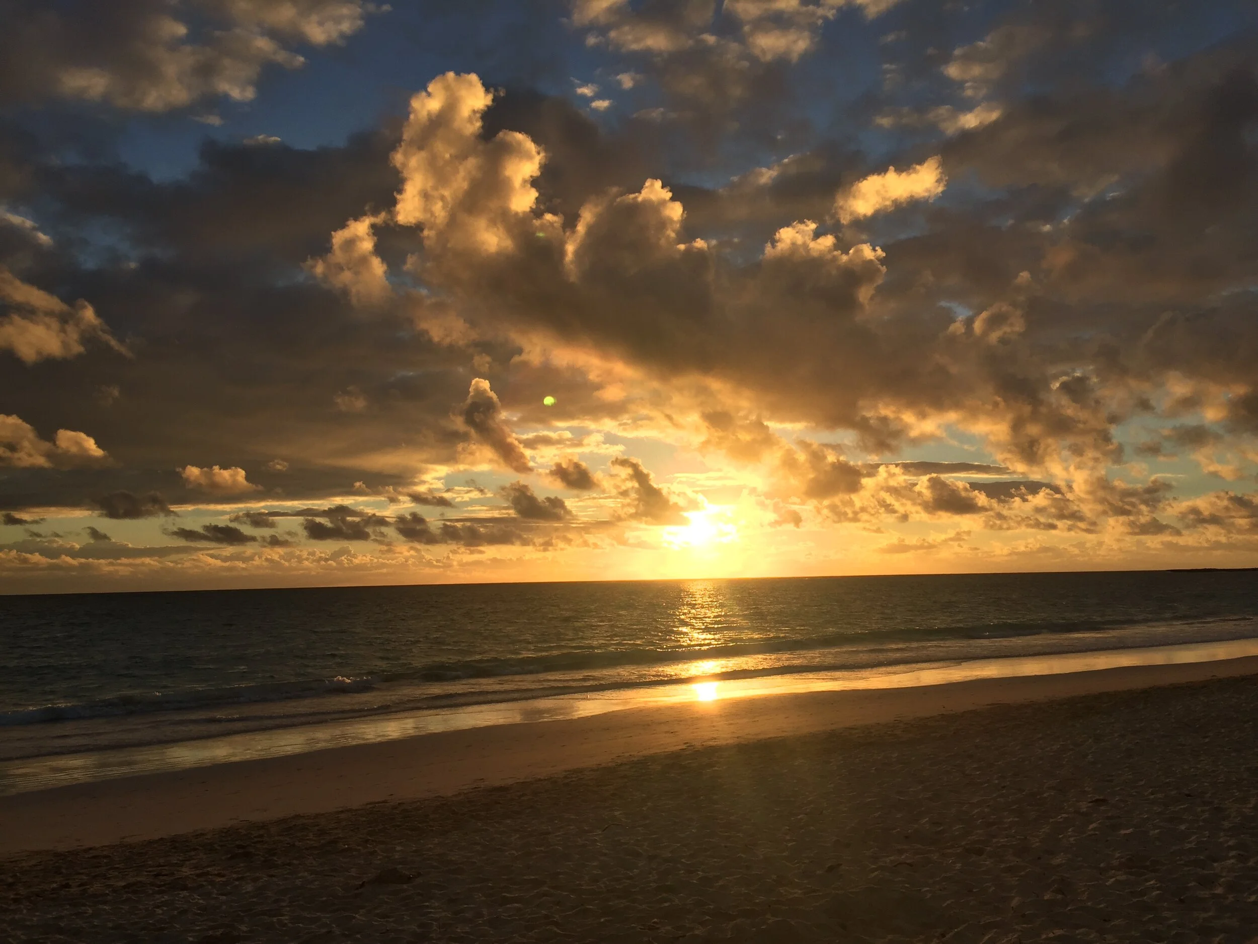 "Omitted memories are generally accepted as a sign of loss" by Kate Sweeney