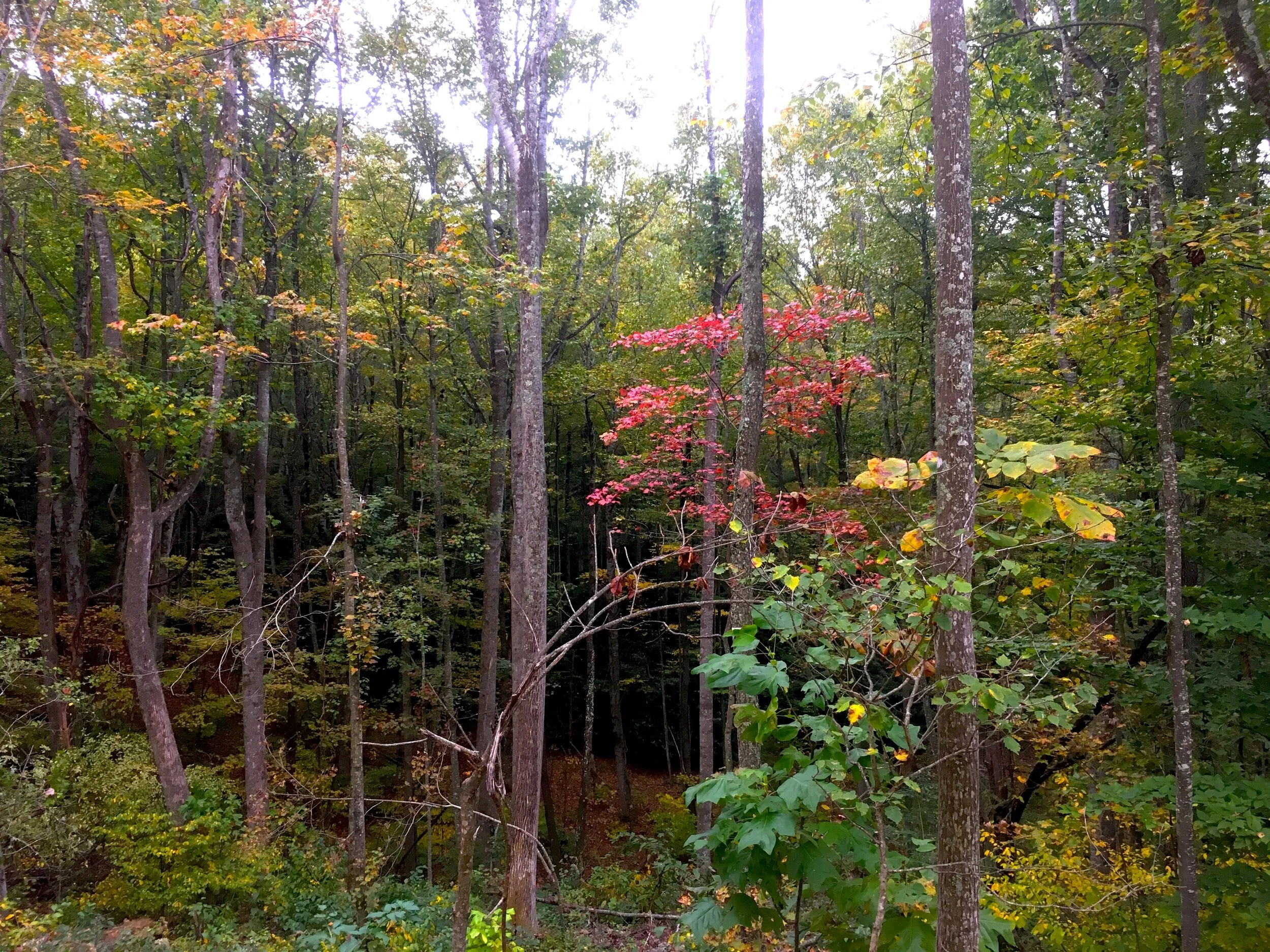 "Broken" by Sheila Wellehan