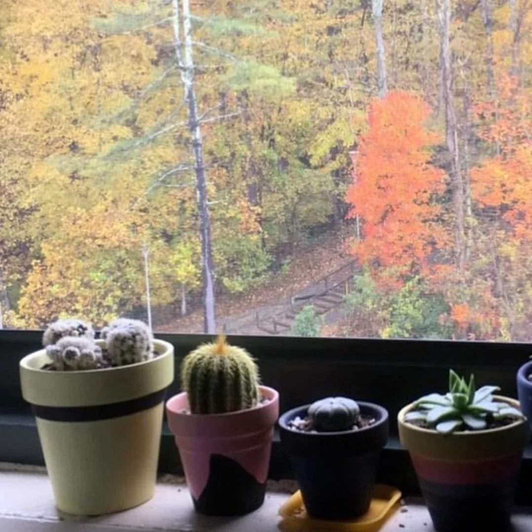 "[A squall imprints the windows]" by Kimberly Kralowec