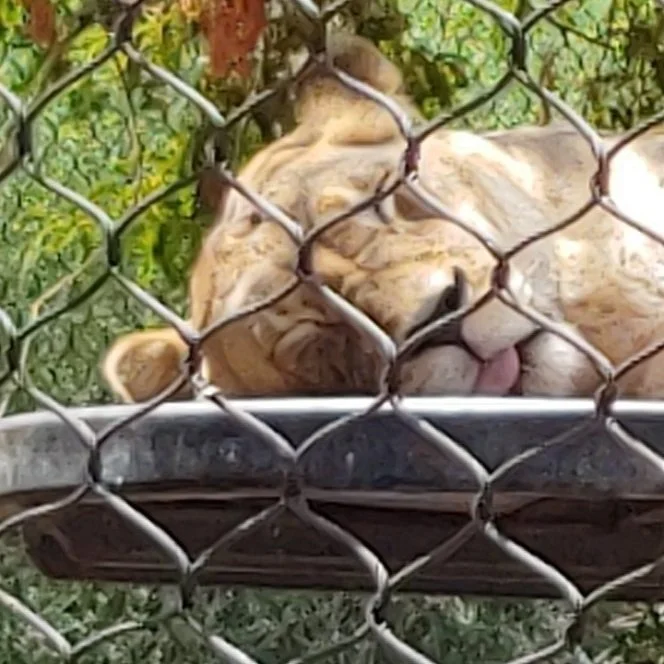 "The Gym" by José Hernandez Diaz