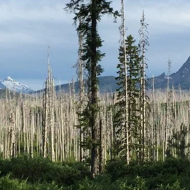 "On Sending Ted Kooser Unquiet Landscape, January 2022" By Kris Spencer