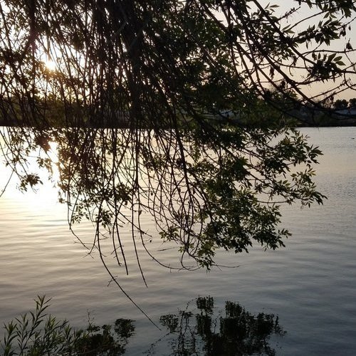 "A Breathing Lake" by Sarah Maclay