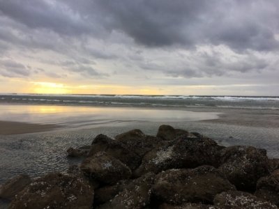 ISSUE ONE: "A Lesson in the Garden or a Seaside Dystopia Confesses Unrequited Love and War" by Karen An-hwei Lee