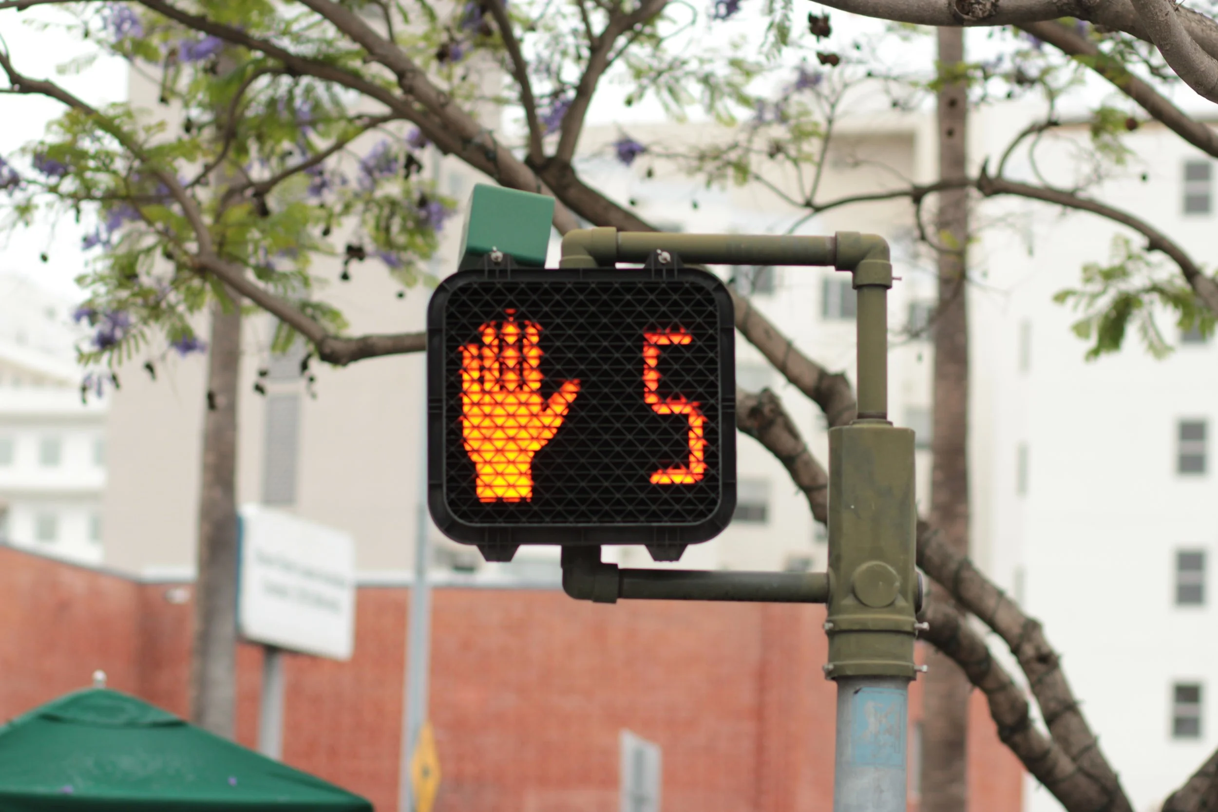 "Goodbye to All That" by Steven Deutsch