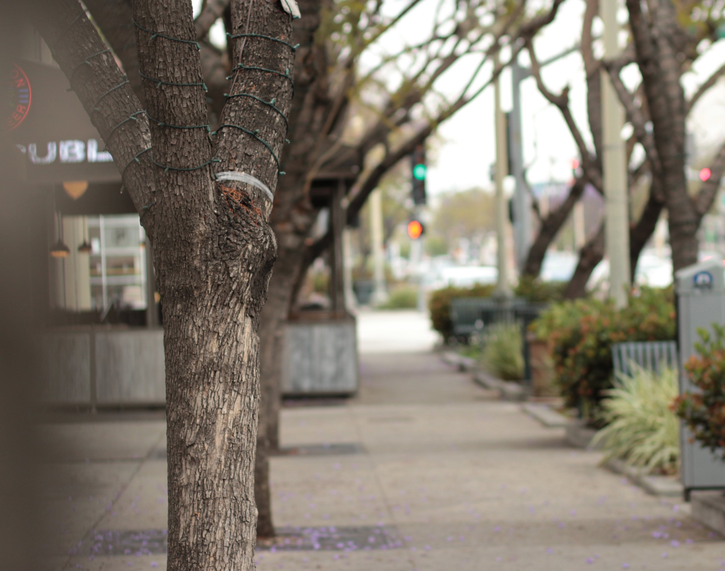 "Royale Market" by Martina Reisz Newberry