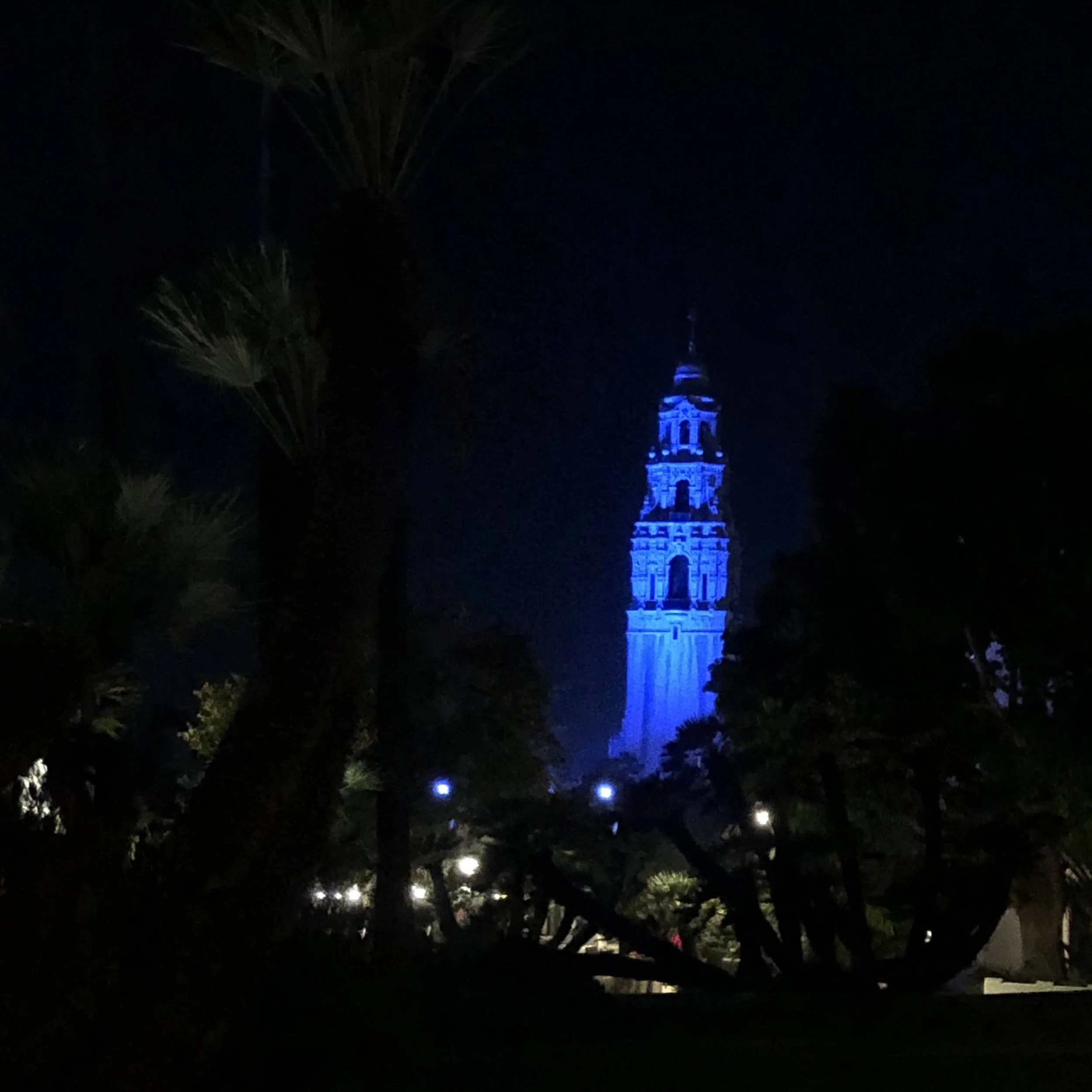 excerpt from "In Sanguine Blue Rooms: A Novel” by Chekwube Danladi