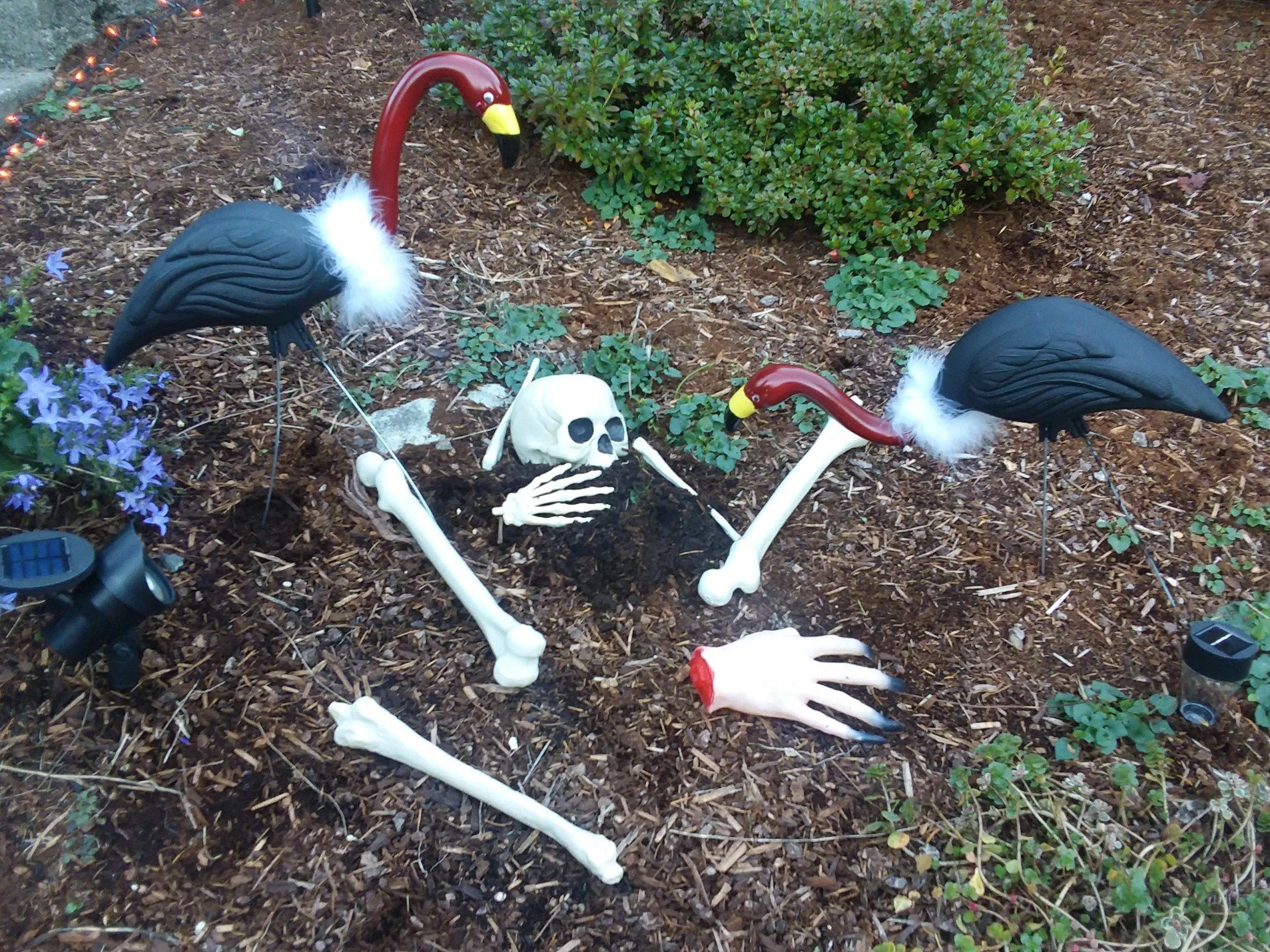 "The Deep Part" by Steven Ray Smith