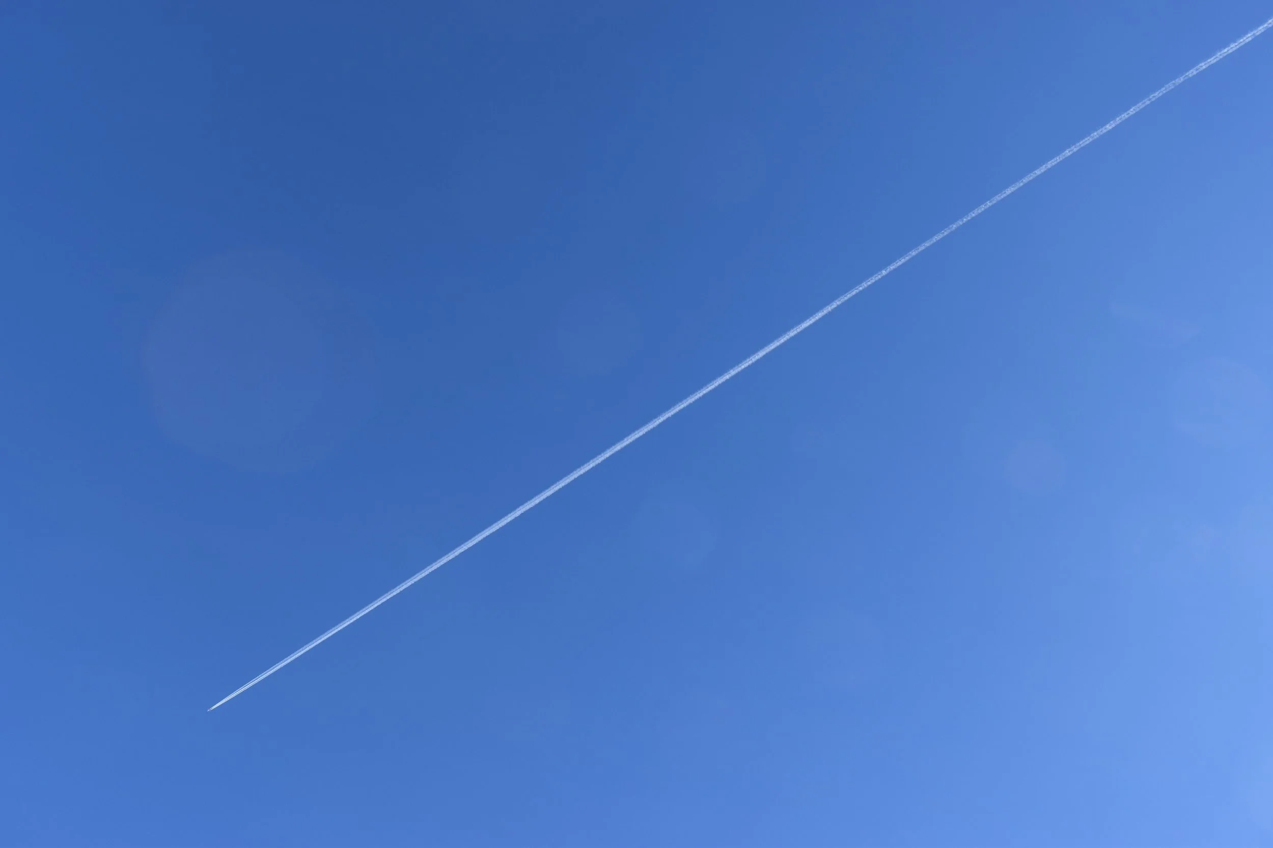 "Summers on Long Island" by  Mary Christine Delea