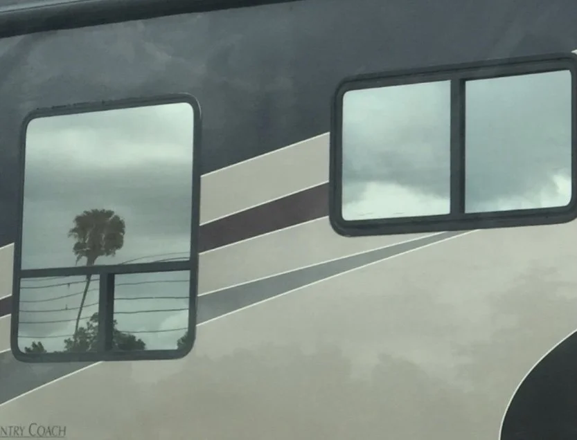 "First Thing" by John Grey