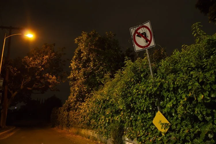 ISSUE NINE: "Quick Fright" by Ace Boggess