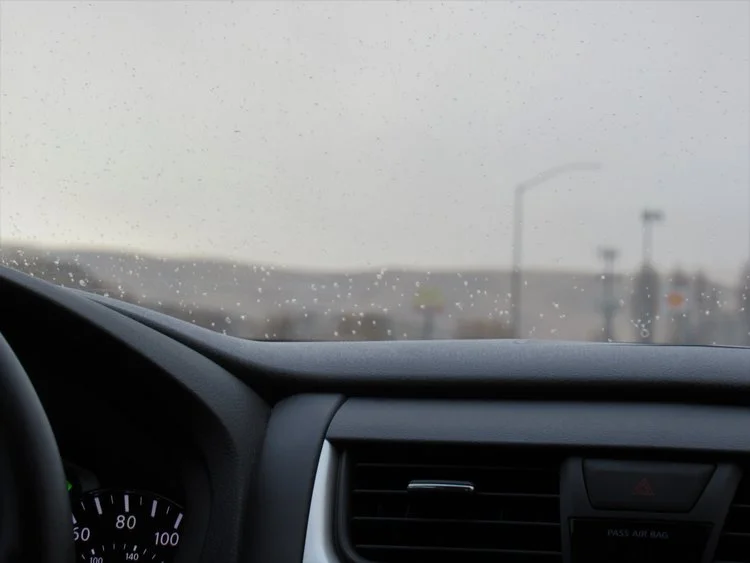 ISSUE EIGHT: "Testimonial" by Scott Broker