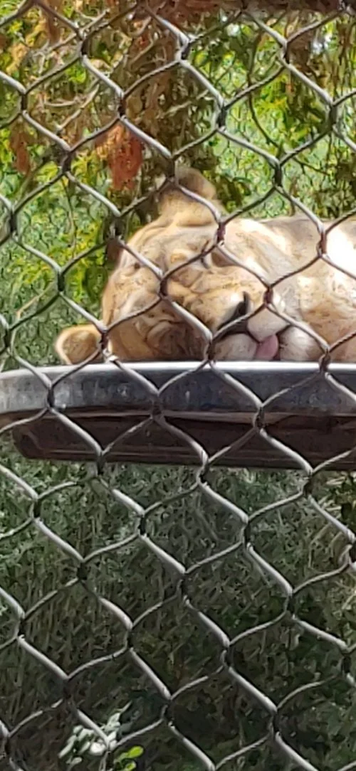 ISSUE EIGHT: "The Gym" by José Hernandez Diaz