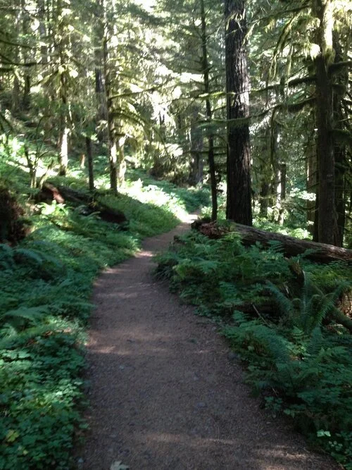 ISSUE SEVEN: "This Poem a Path You Were Walking All Along" by Molly Tenenbaum