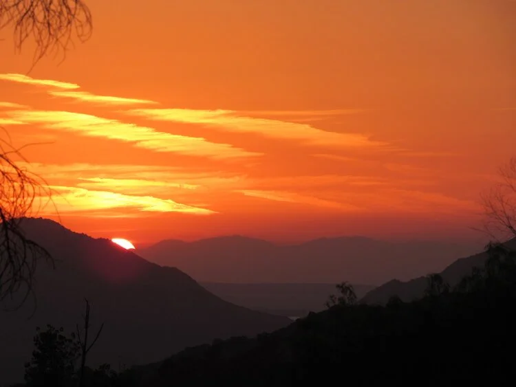 ISSUE SIX: "Goldfish Skin" by Meg Pokrass