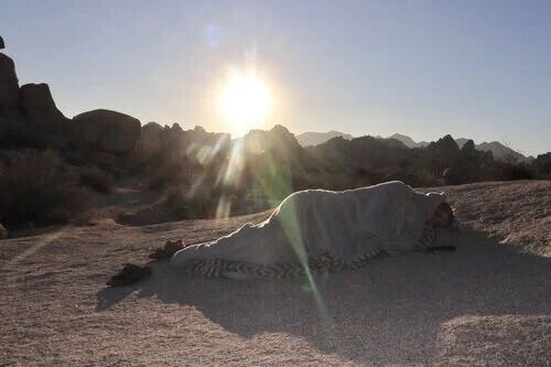 ISSUE SIX: "Arrhythmia" by Shareen K. Murayama