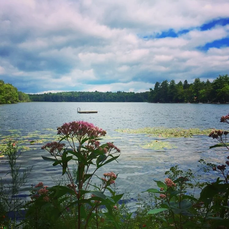 ISSUE FIVE: “Leda as Swan” / “Swan as Leda” / “Leda and Swan” by Danielle Rose