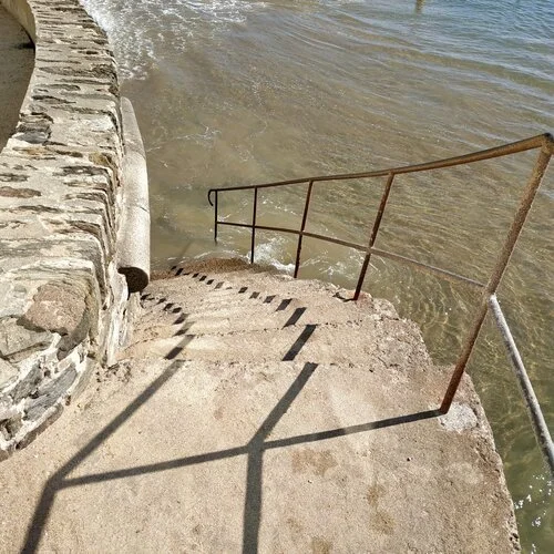 ISSUE FIVE: “Blue Plums, 1971” by Lynne Thompson