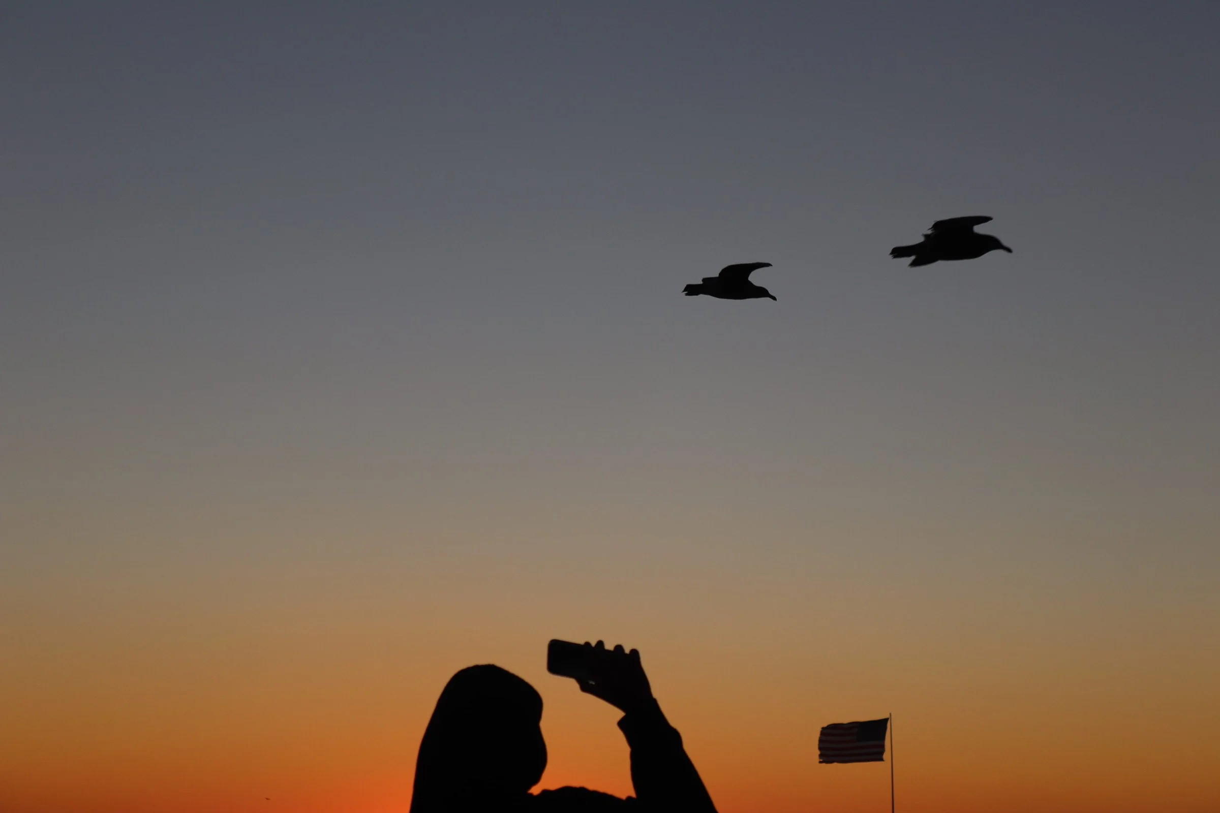 "'Revelations'" by Nicole Callihan