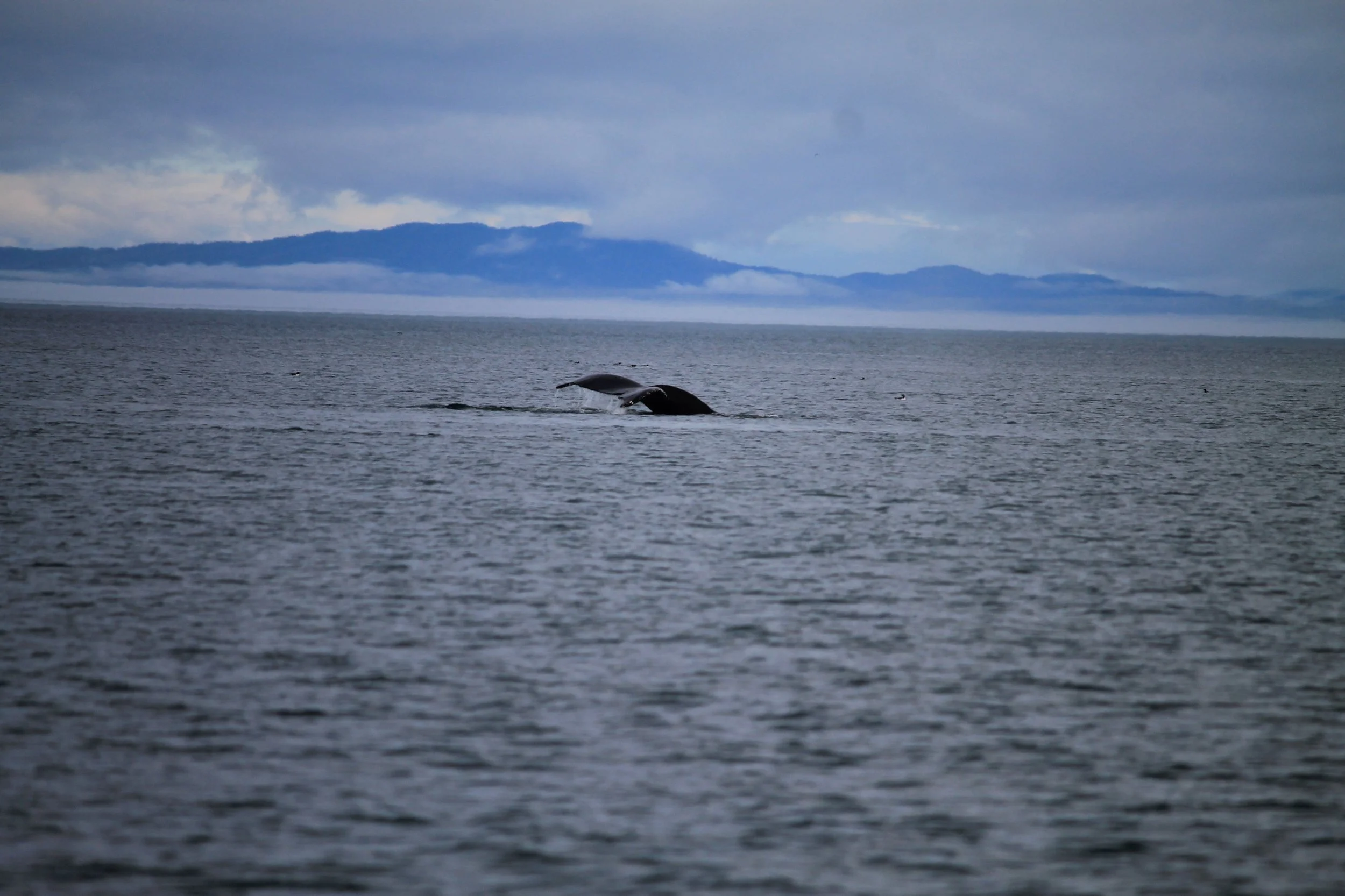 "The Weight" by Juanita Rey