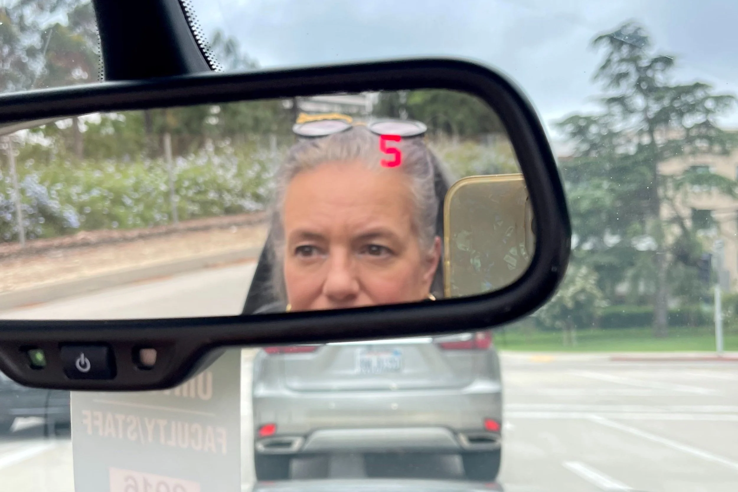 "Dashboard Mirror" by Monique Harris