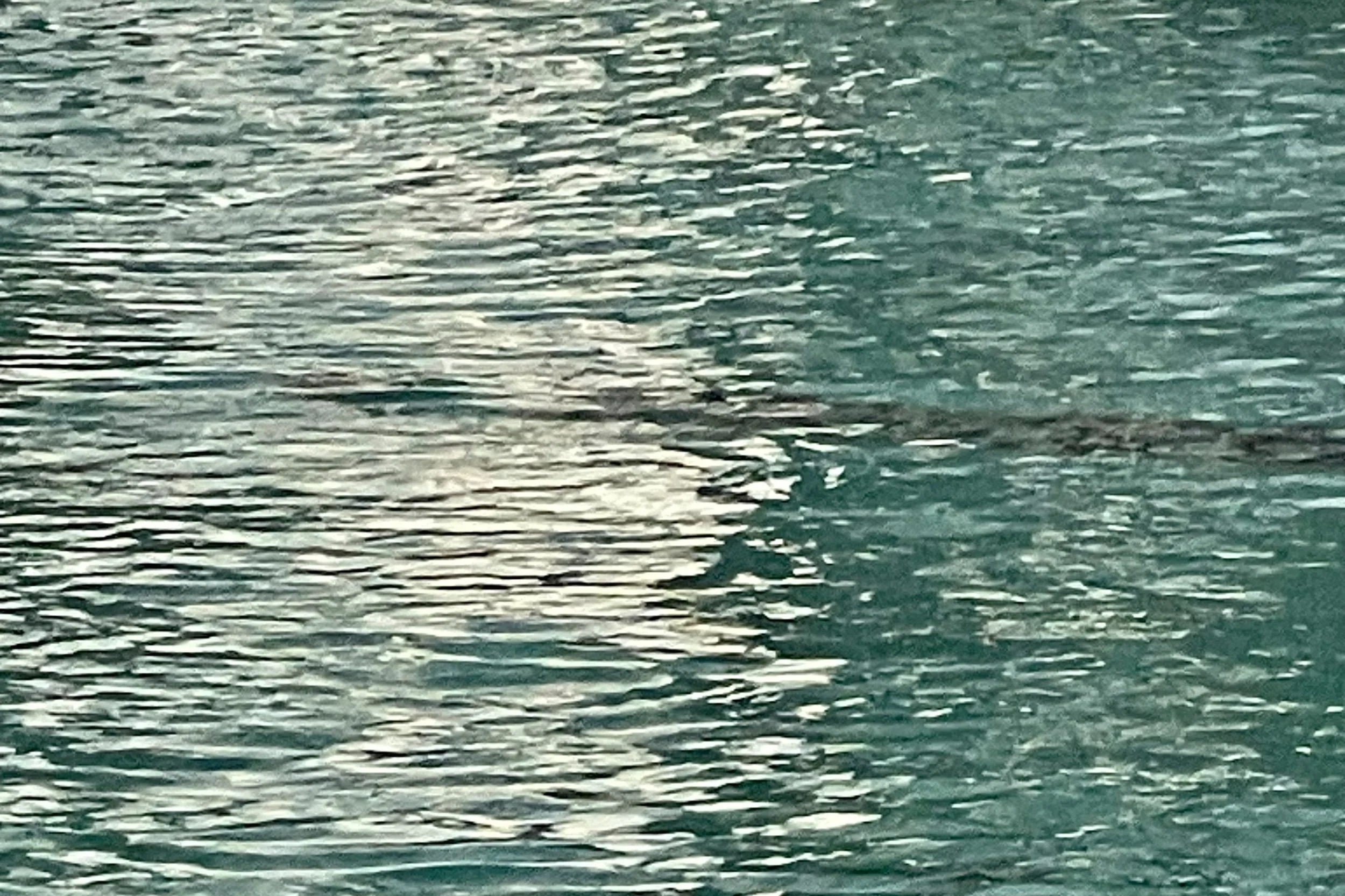 "Beneath the Surface" by Dinamarie Isola