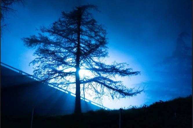 "Ghost Grandma" by Alice Kinerk