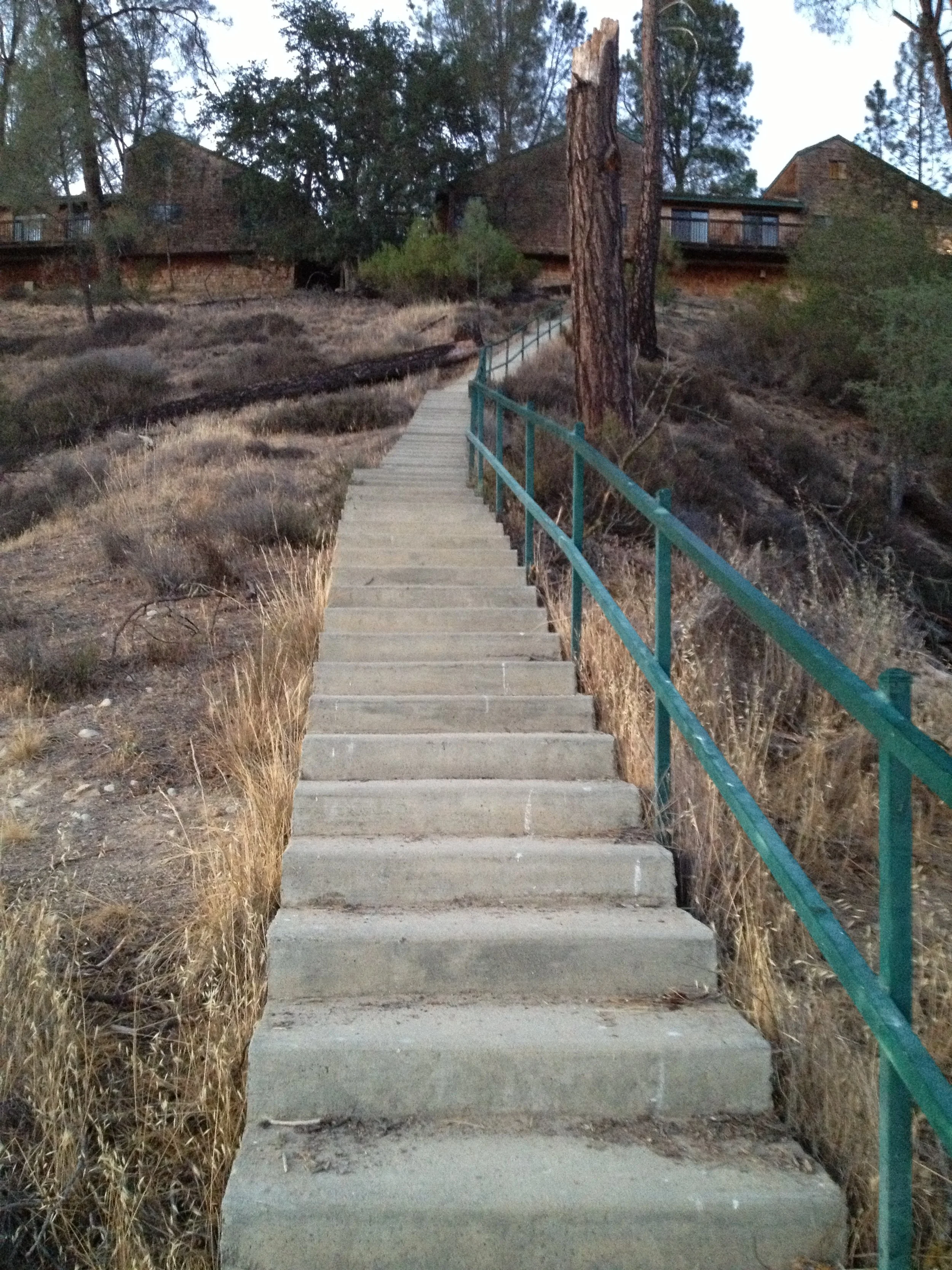 “The Zany Trail” by Shaun Anthony McMichael