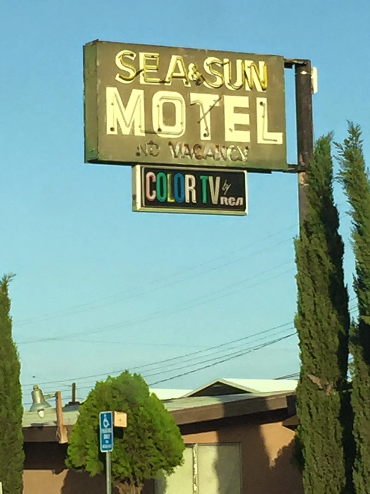 “Purple Heart” by Joshua Merchant