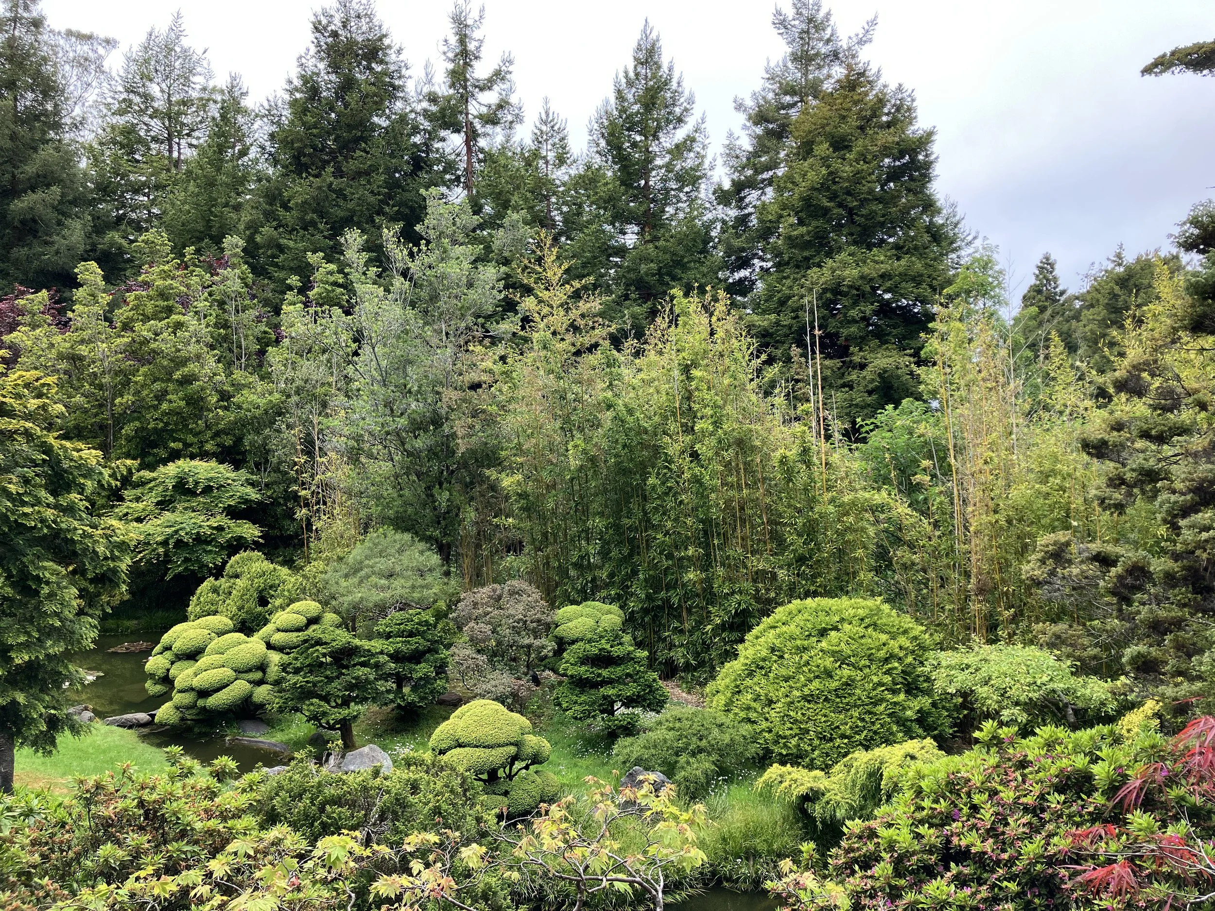 “IMG 4736 (No Views)” / “IMG 6077 (No Views)” by Mike Urquidez