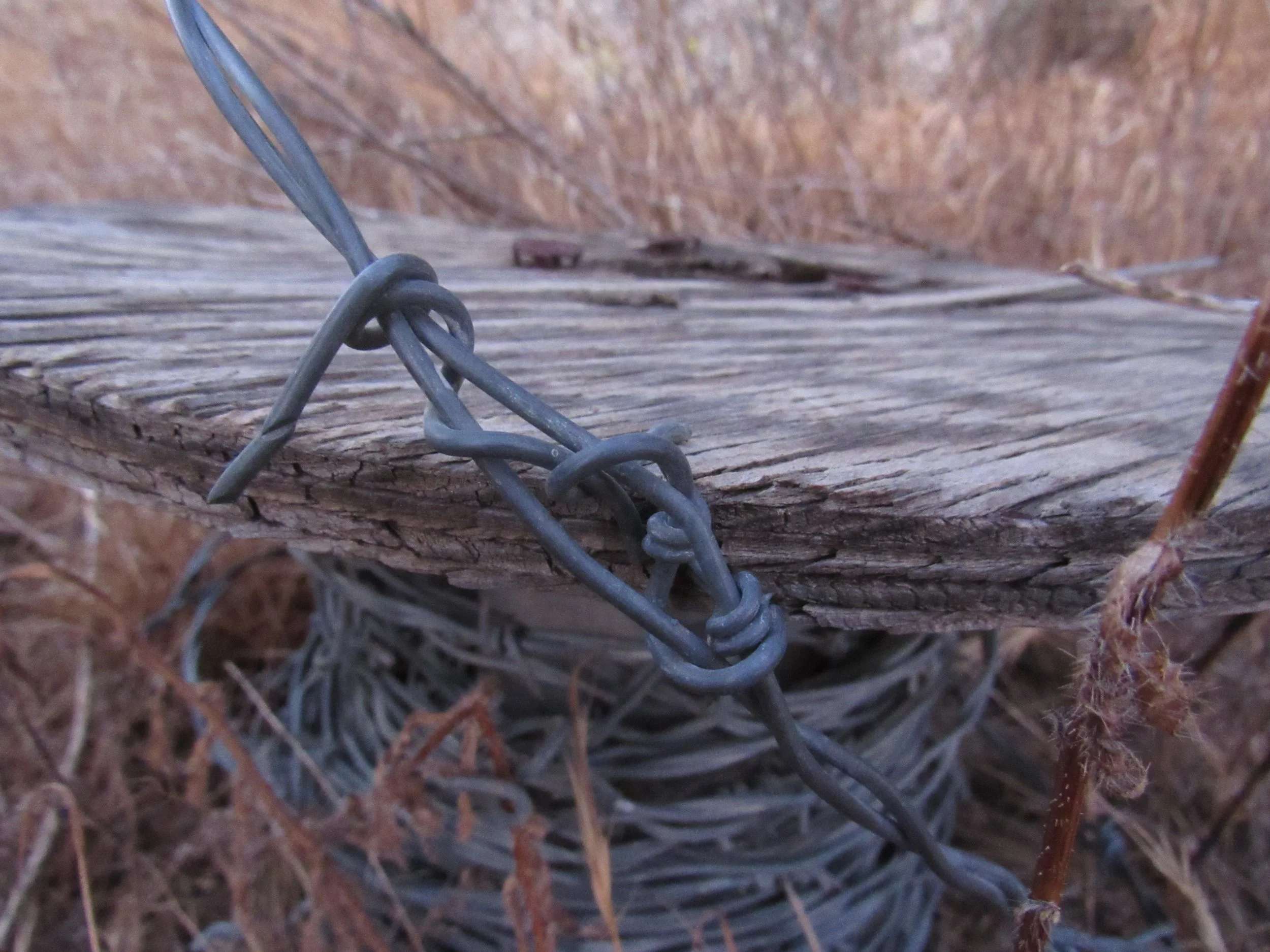 “Withdrawal Diary: Day Two” by Deborah Harada