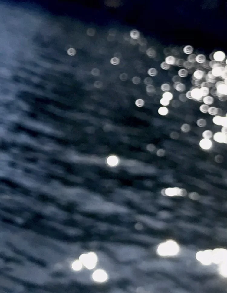 “In the Watershed of the Superfund Site” by Sophia Hammerle