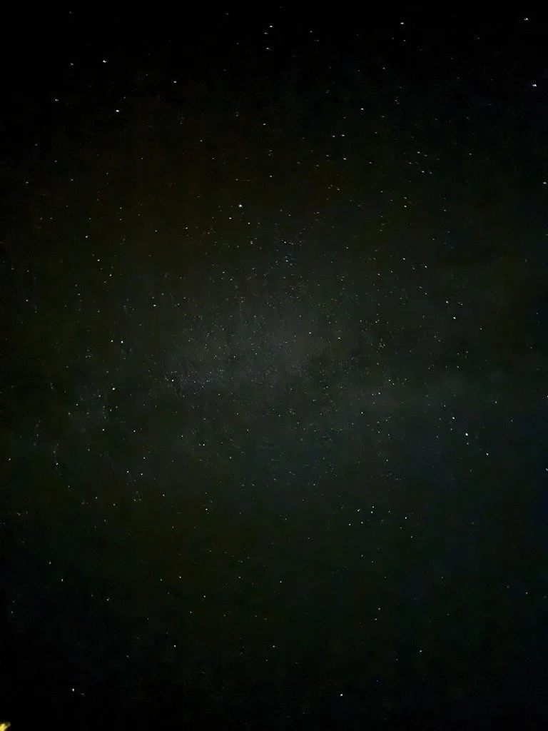 “Dancing with the Stars” by Laurie Kuntz