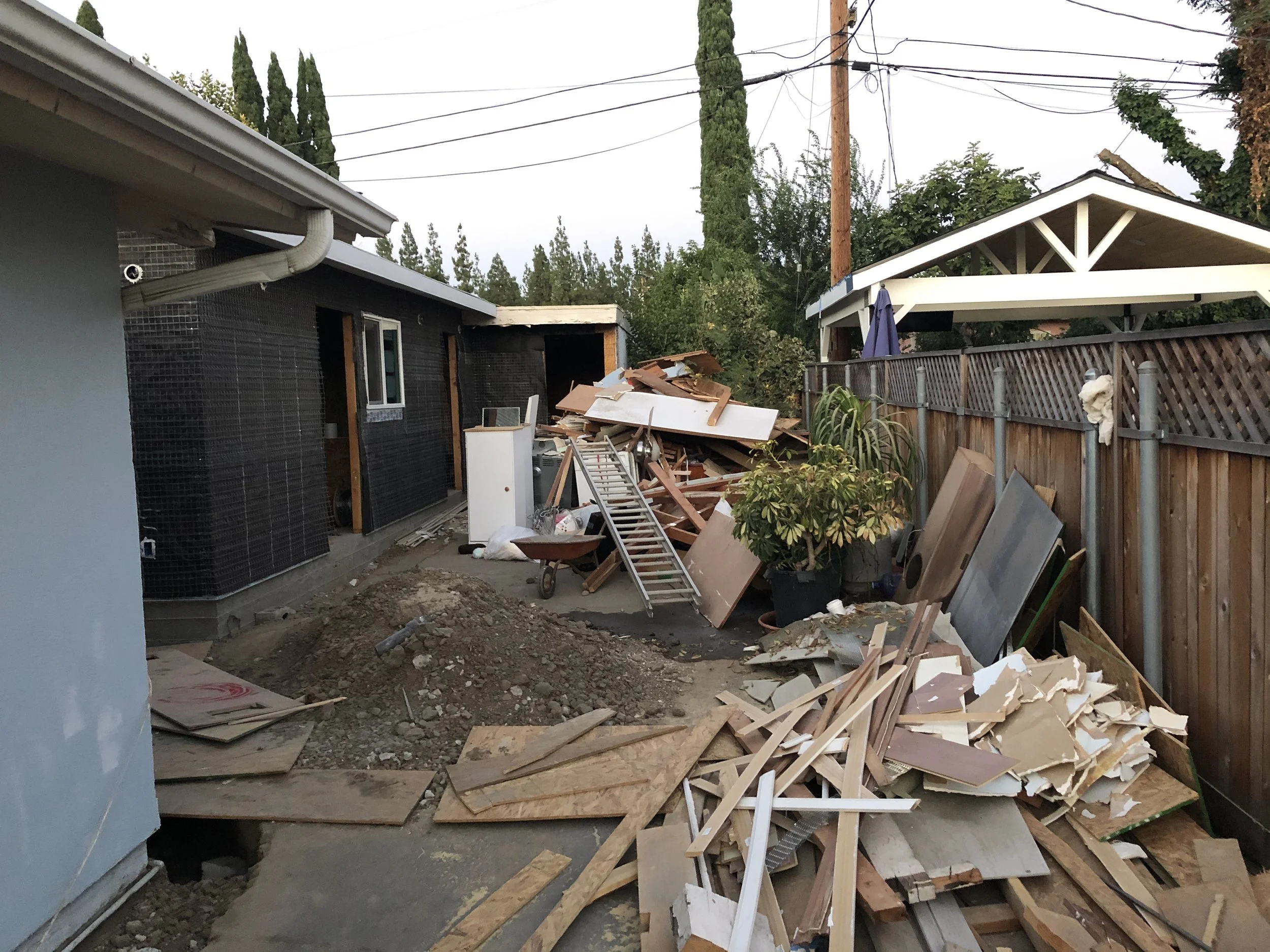 “Natural Causes” by Melissa Witcher