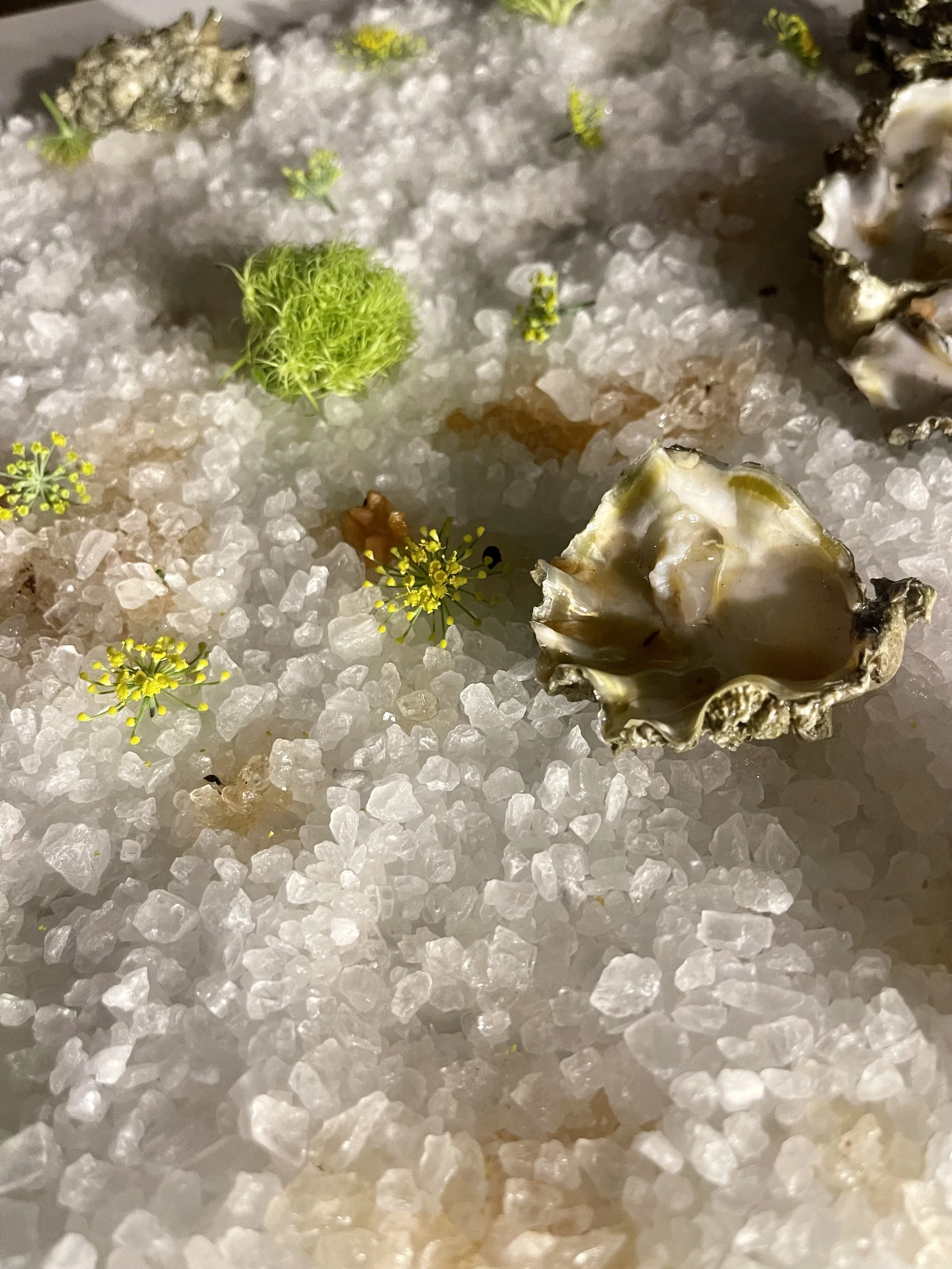 “Pearls” by Tracie Adams