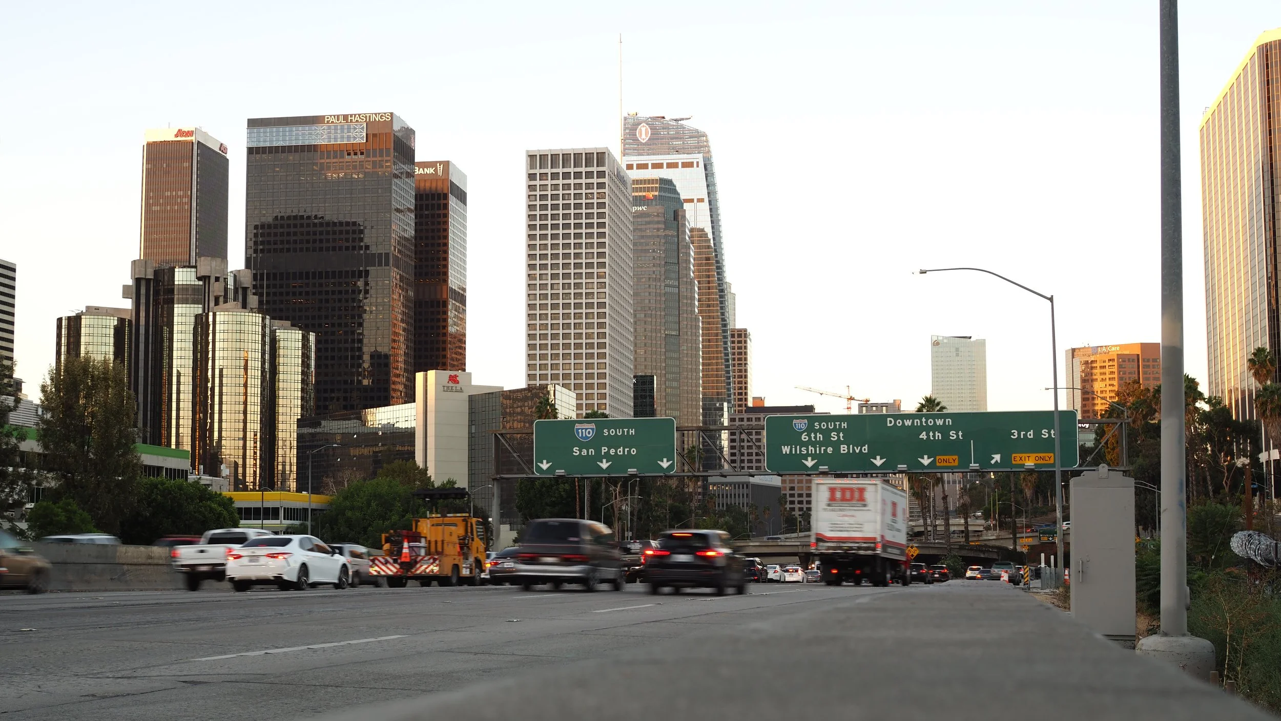 "Palm" / "The Land of Yellow Brick Roads" by Bria Dorsen