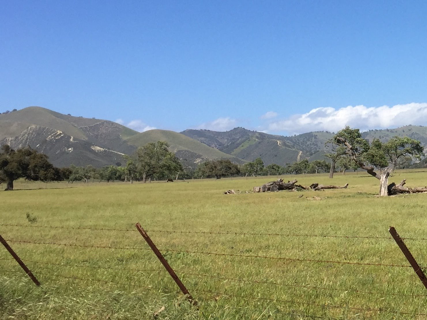 "I'm Not This Countryside" by L. Ward Abel