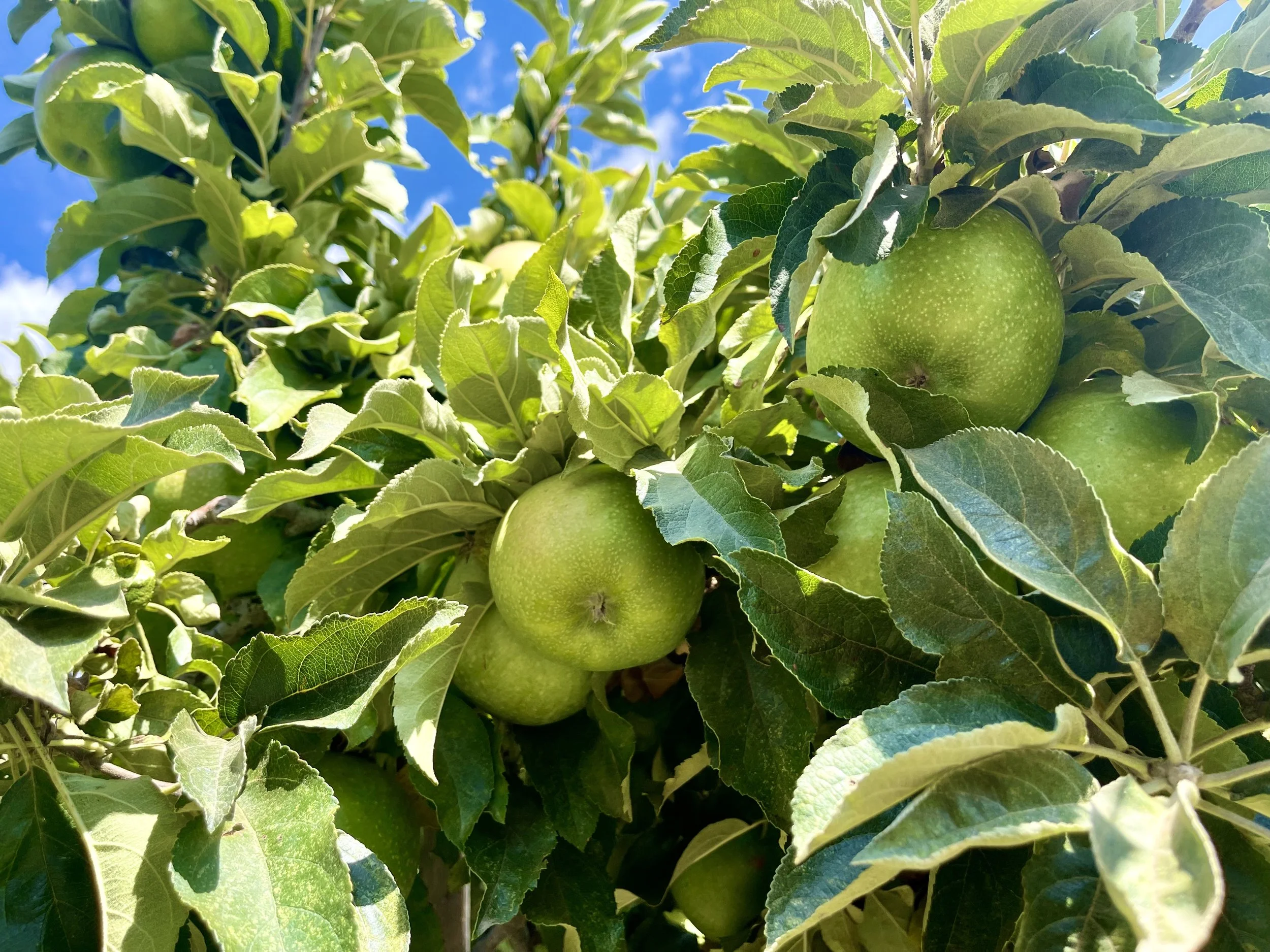 "Hard Comforting" by Jennifer Mills Kerr