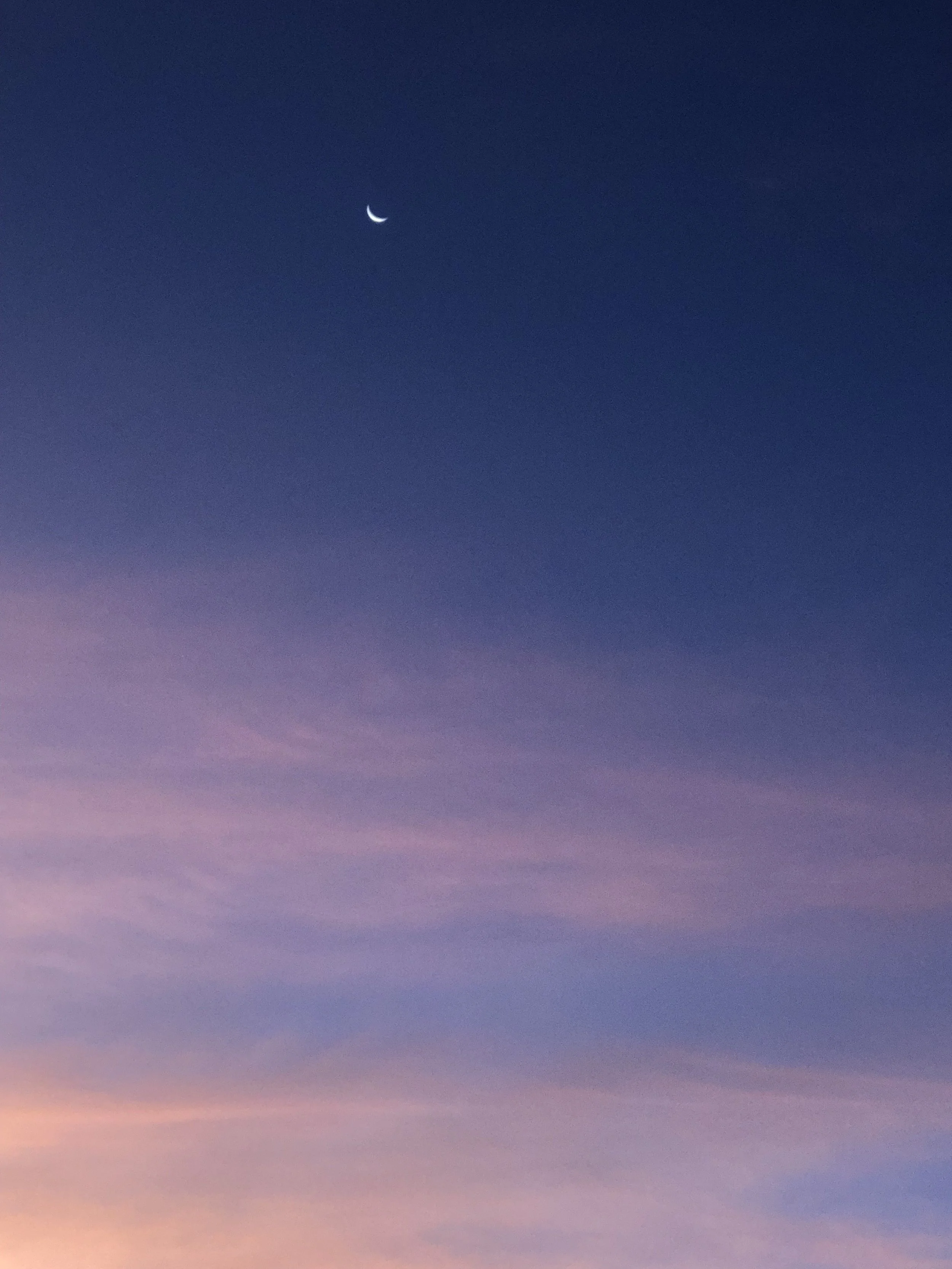 “Moon-laden” by Anne Graue