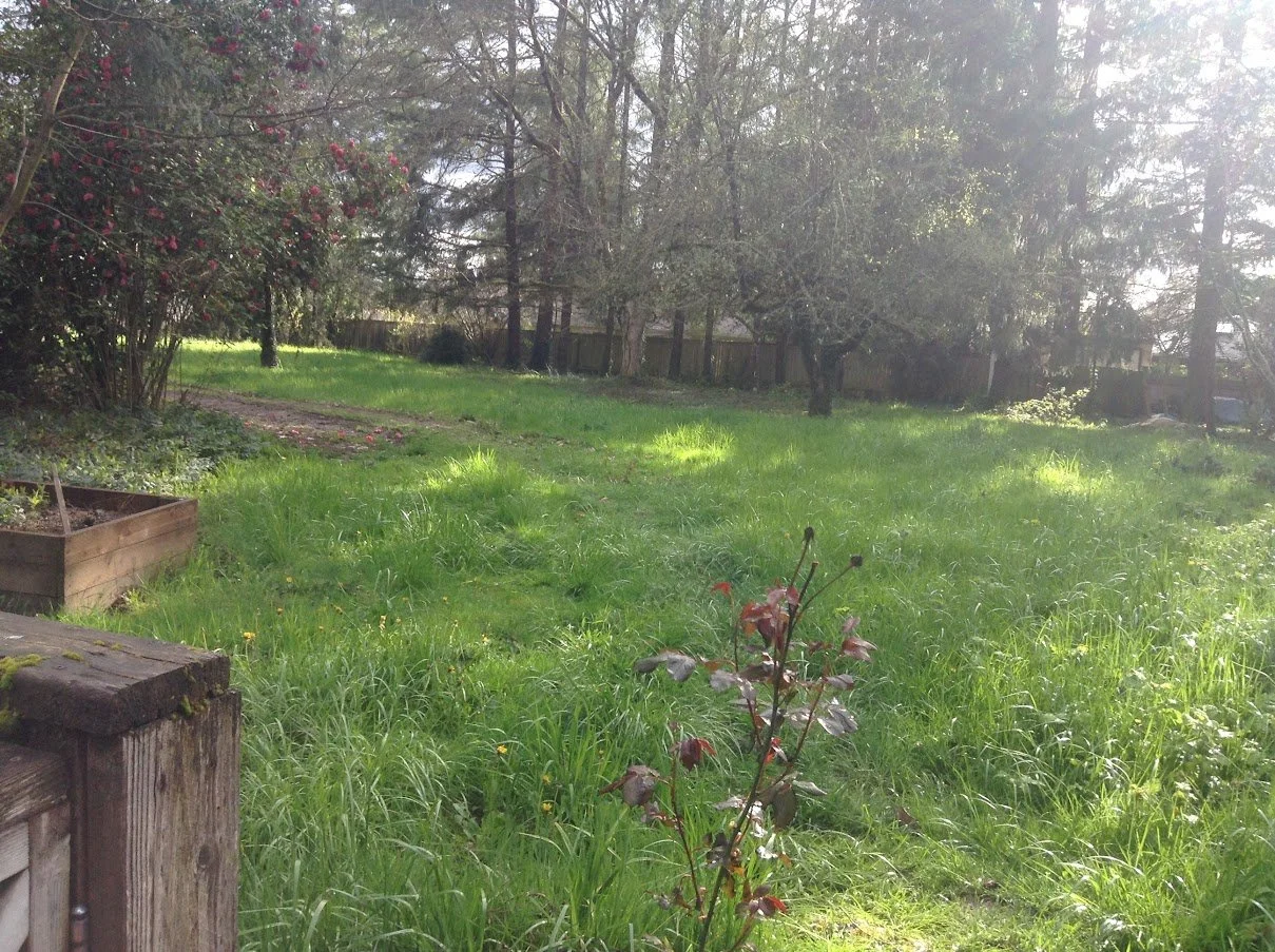 “Uncertain” by Bruce Gunther