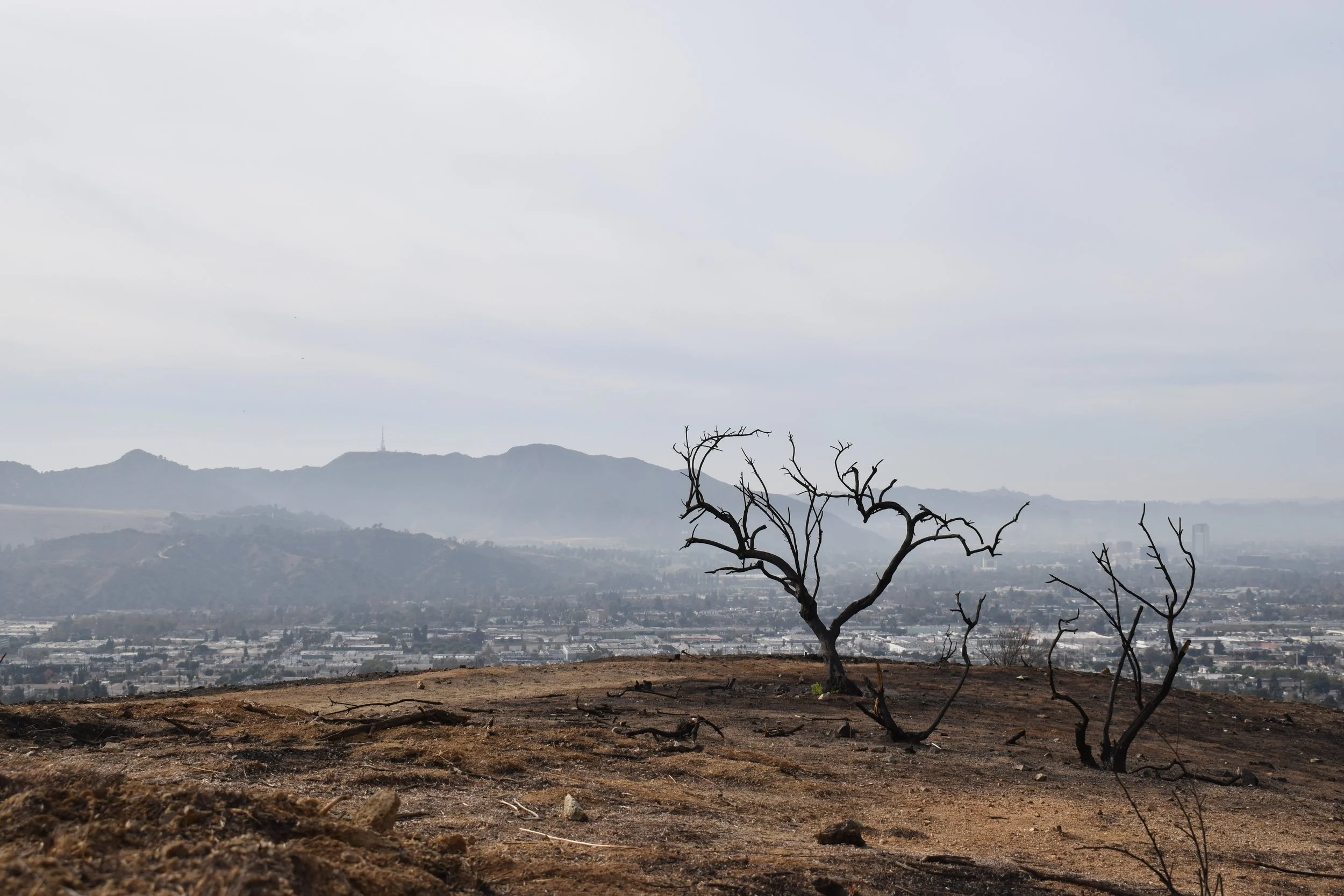 "Caprice" by Anton Getzlaf