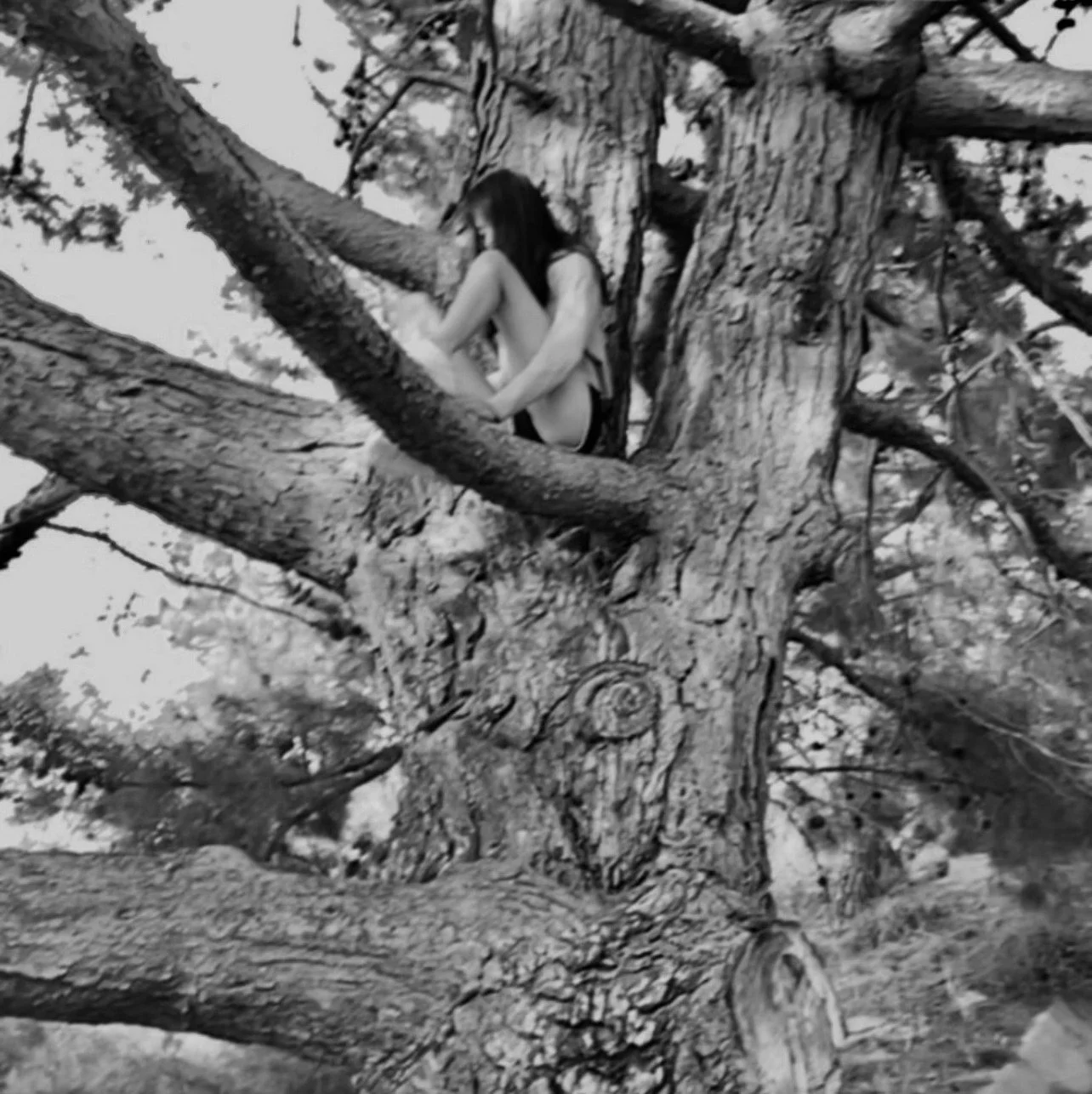 "Interposed a Fly" by Hollie Dugas