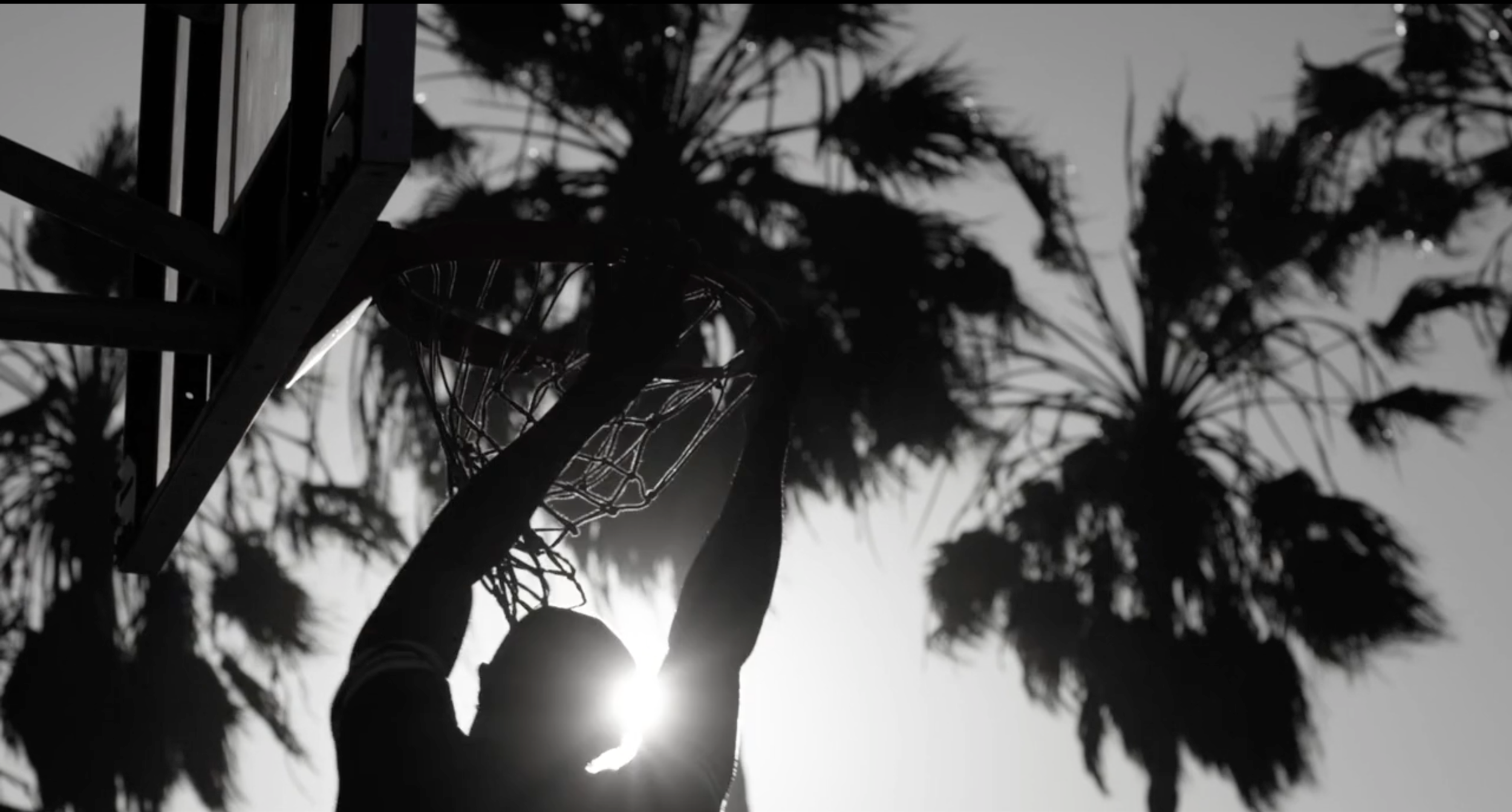 Screen Shot 2018-07-23 at 2.00.32 PM.png