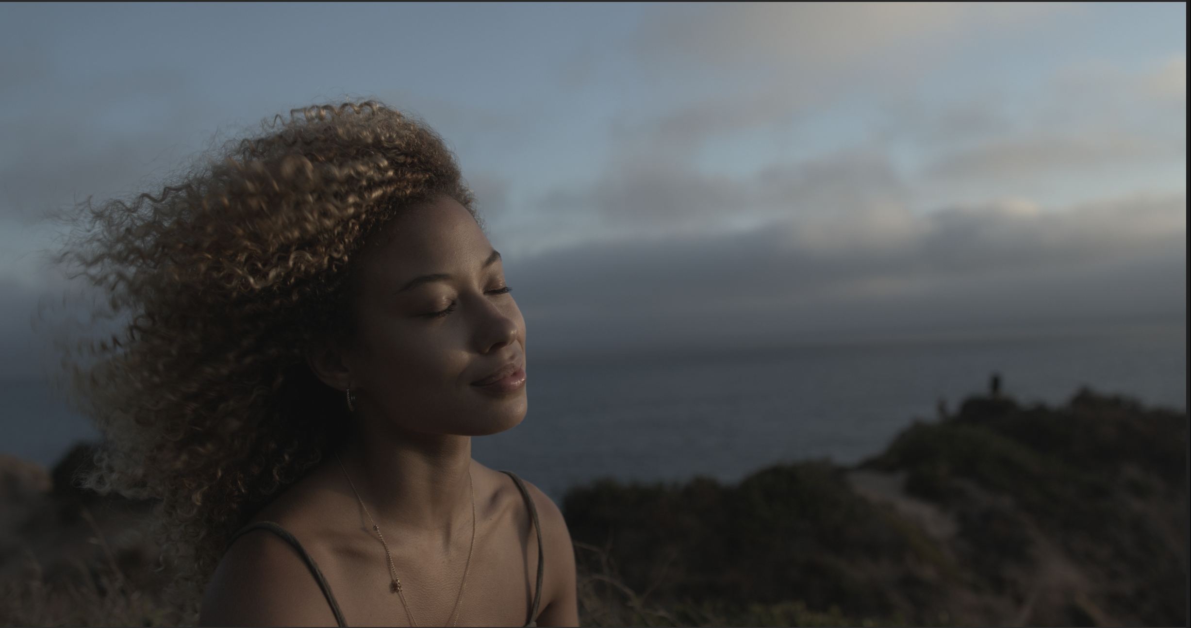 Screen Shot 2019-08-13 at 9.10.41 AM.png