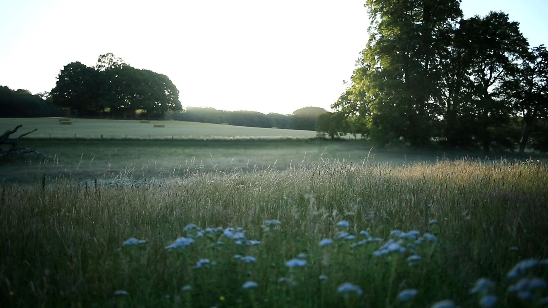 ChalkStream_1_Stills_01.jpg