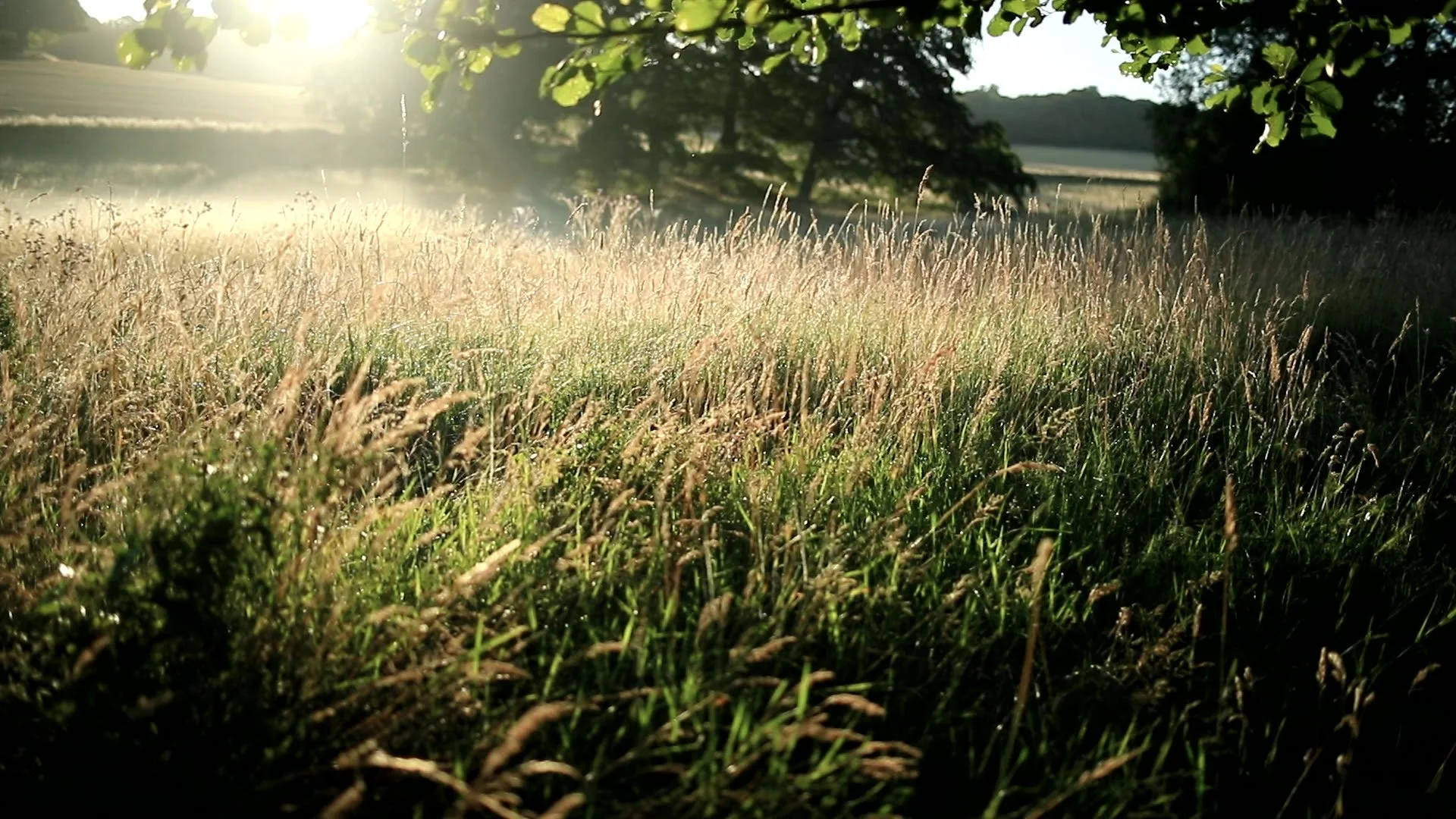 ChalkStream_1_Stills_02.jpg