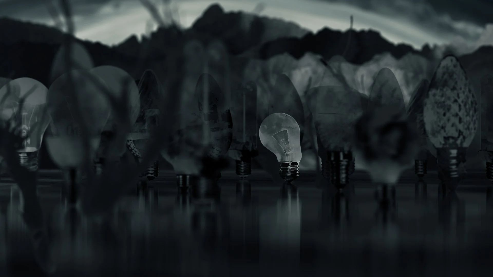 The Quest_Final_LT_02.jpg