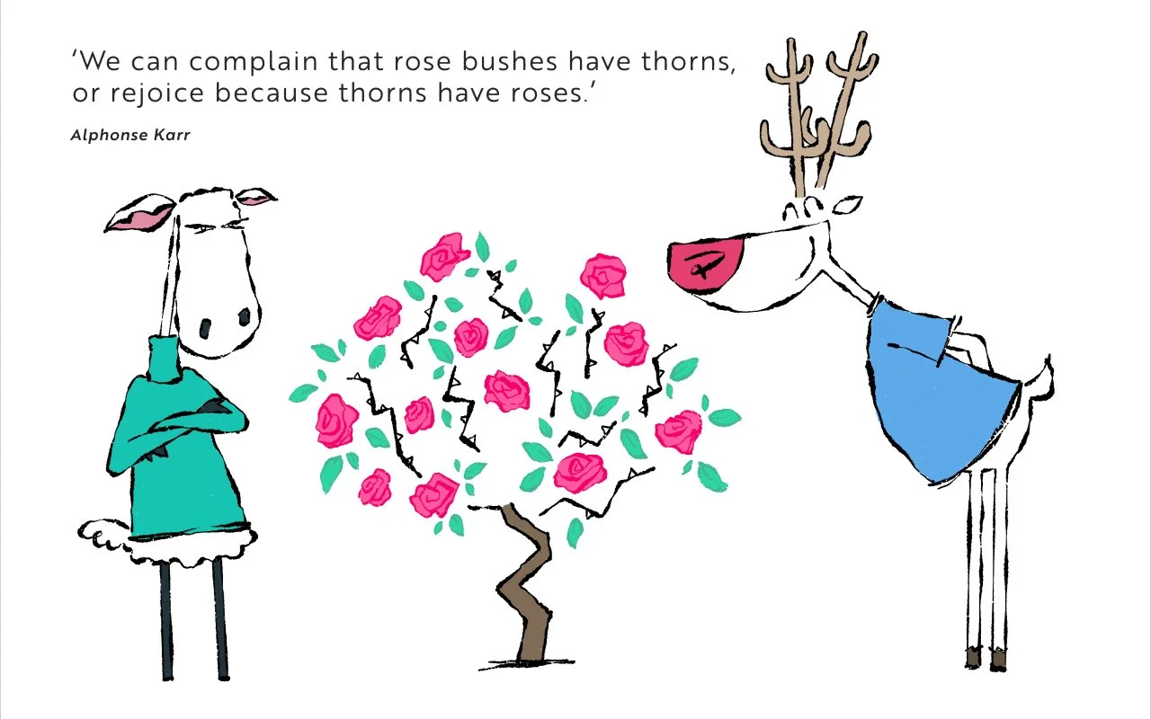 Deer Ewe_Quote 16.jpg