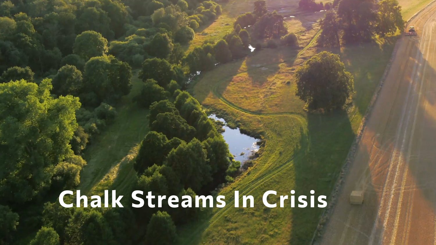 Website_Thumbnail_ChalkStreamsInCrisis.jpg