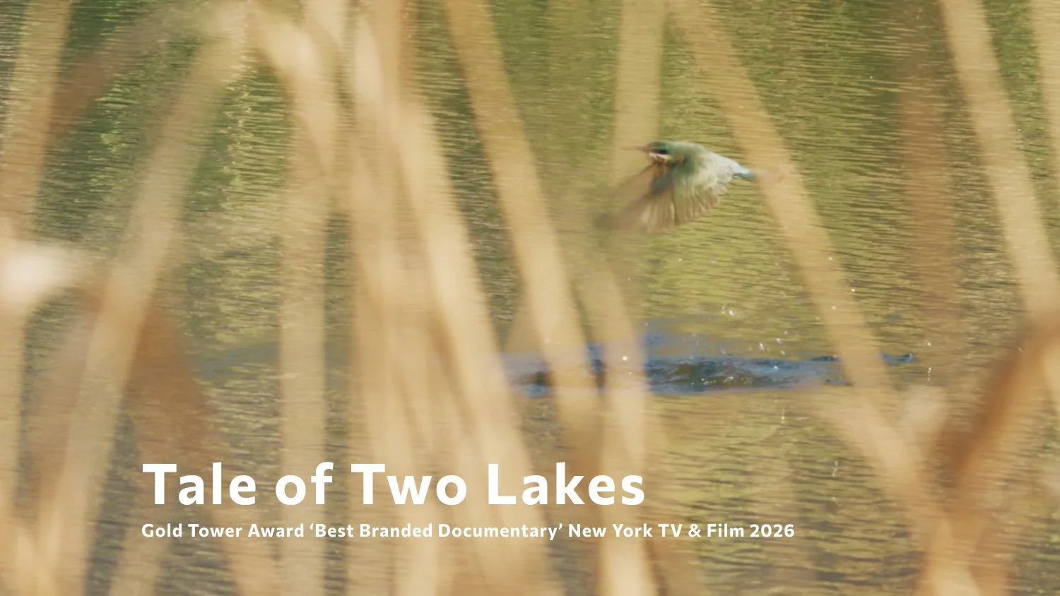 Website_Thumbnail_Tale of Two Lakes_v4.jpg